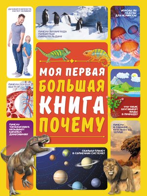 cover image of Моя первая большая книга ПОЧЕМУ